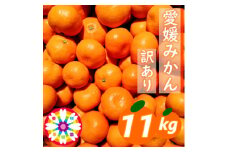 「 愛媛 みかん 」 訳あり 約11kg《 愛咲果樹園 》＜D71-7＞【1331485】