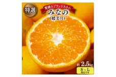 ＜2025年11月以降発送＞みなの共選の特選「みなの(旧:媛美月)」約2.5kg＜C28-36＞【1334191】
