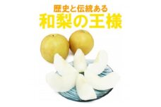 梨の王様!愛媛県八幡浜産新高梨約10kg＜G35-28＞【1492217】