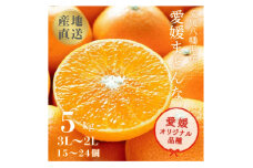 産地直送 国安さんちの愛媛まどんな 贈答用 約5kg ＜H20-31＞_ みかん ミカン 蜜柑 柑橘 柑橘類 マドンナ 紅まどんな同品種 フルーツ 果物 くだもの 人気 美味しい 愛媛県 八幡浜市 ふるさと 【1340000】