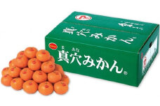 真穴みかん ＜サイズおまかせ＞ 5kg＜E43-5＞【1490396】