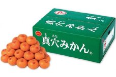 真穴みかん ＜サイズおまかせ＞ 5kg＜E43-5＞【1490396】