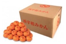 真穴みかん ＜サイズおまかせ＞ 10kg＜H43-6＞【1490404】