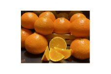 太陽と海のまどんな2.5kg＜贈答用＞＜D73-2＞【1491884】
