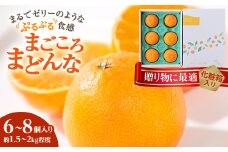 ＜2025年発送＞紅まどんなと同品種 愛媛果試28号 ギフトボックス入り6～8個＜D25-91＞_みかん ミカン 蜜柑 まごころまどんな 果物 くだもの フルーツ 希少 甘い おいしい かんきつ 柑橘 柑橘類 国産 愛媛 愛媛県 八幡浜市 産直 産地直送 送料無料【1346971】