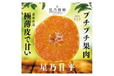 星乃みかん園の星乃甘平(3.5kg)＜D45-46＞【1339329】