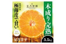 星乃みかん園の星乃甘平(3.5kg)＜D45-46＞【1339329】