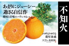 ＜天空の果樹園＞そらデコ/不知火(4kg)＜C45-44＞【1339326】