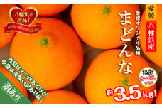 2025年11月発送開始　ぷるぷる食感!「 まどんな 」約3.5 キロ＜ 訳あり ＞＜D39-44＞【1419628】