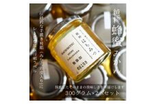 純粋はちみつ＜みかん蜂蜜＞300g×2本セット＜D74-1＞【1355755】