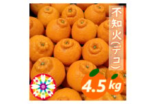 愛咲果樹園 「 不知火 ( デコ )」約4.5kg＜C71-12＞_ みかん ミカン 柑橘 くだもの 果物 フルーツ 不知火 しらぬい デコ ジューシー 甘い 常温 デザート 産地直送 産直 愛媛 【1344721】