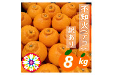 愛咲果樹園 「 不知火 ( デコ )」 訳あり 約8kg＜C71-13＞_ 訳アリ わけあり ワケアリミカン みかん しらぬい シラヌイ デコ 常温 フルーツ 果物 くだもの 家庭用 人気 柑橘 かんきつ 不揃い 規格外 傷 愛媛 旬 産地直送 産直 季節限定 【1344724】