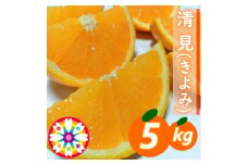 愛咲果樹園 「 清見 」約5kg＜C71-14＞_ みかん ミカン 柑橘 くだもの 果物 フルーツ 清見 きよみ ジューシー 甘い 常温 デザート 産地直送 産直 愛媛 人気 【1344729】