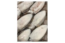 ＜冷凍便＞八幡浜発!竹中水産の「墨イカ(甲いか又はモンゴ)」2kg!お刺身用＜F22-221＞_ いか イカ 烏賊 送料無料 【1043155】
