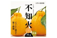＜天空の果樹園＞デコ不知火 ( 3kg )＜C45-77＞【1339382】