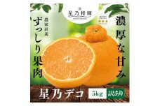 ＜訳あり＞星乃デコ/不知火(5kg)星乃みかん園の自信の果実＜C45-79＞【1378936】