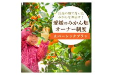 自分の畑が持てる!みかんオーナー制度:Aベーシックプラン ミヤモトオレンジガーデン＜H25-111＞【1411125】