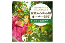 自分の畑が持てる!みかんオーナー制度:Bみかん堪能プラン ミヤモトオレンジガーデン＜H25-112＞【1411126】