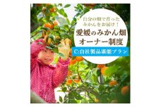 自分の畑が持てる!オーナー制度:C製品堪能プラン ミヤモトオレンジガーデン＜H25-113＞【1411129】