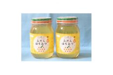 JAにしうわ みかんはちみつ600g×2本入 化粧箱＜F08-70＞【1491666】