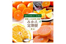 ＜発送月固定定期便＞愛媛の人気品種を厳選! みかん定期便(秀品)全8回＜H25-116＞【4001037】