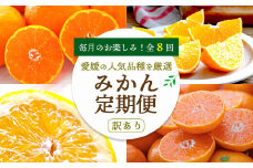 ＜発送月固定定期便＞愛媛の人気品種を厳選! みかん定期便(訳あり)全8回＜H25-117＞【4001039】