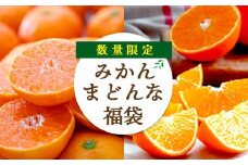愛媛限定柑橘をセットに!愛媛みかん・まどんな食べ比べ 合計4kg＜訳あり＞＜F25-118＞_ 蜜柑 ミカン みかん 柑橘類 フルーツ 果物 くだもの 人気 美味しい 愛媛県 八幡浜市 ふるさと 【1419032】