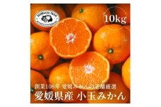 愛媛みかんの老舗厳選＜愛媛県産 小玉 みかん10kg＞新口農園＜F70-5＞【1440741】