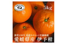 創業百八年 愛媛みかんの老舗＜伊予柑5kg＞＜新口農園厳選＞＜D70-12＞【1470715】