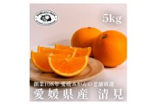 ＜創業108年＞愛媛みかんの老舗厳選＜清見 5kg＞＜D70-14＞【1470711】
