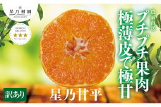 ＜訳あり＞星乃みかん園の星乃 甘平(4kg)＜D45-82＞【1432775】