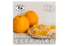 創業百八年 愛媛みかんの老舗＜河内晩柑8kg＞＜新口農園＞＜F70-17＞【1470707】