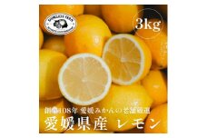 愛媛県産レモン 3kg＜防腐剤・ワックス不使用＞新口農園＜C70-20＞【1470687】