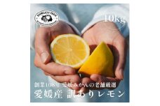 ＜訳あり＞レモン 10kg＜防腐剤・ワックス不使用＞新口農園＜F70-23＞【1470681】