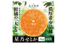 ＜訳あり＞星乃みかん園の星乃せとか(4kg)＜D45-83＞【1432776】