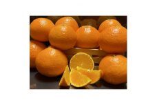 太陽と海のまどんな2.5kg＜家庭用＞＜C73-7＞【1491885】