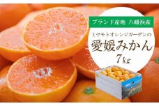 ＜2025年11月より順次発送＞西宇和地区八幡浜市産 愛媛みかん 7kg＜E25-123＞_ みかん ミカン 柑橘 フルーツ ふるーつ 果物 くだもの 青果 温州 甘い 濃厚 愛媛 希少 産直 産地直送 【1166253】
