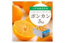 ＜2026年1月以降発送＞愛媛の新春柑橘 芳醇な香りのポンカン5kg＜D25-124＞【1248058】