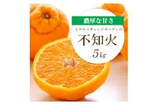 ＜2026年2月以降発送＞デコポンと同品種 濃厚柑橘 不知火(しらぬい) 5kg＜D25-125＞【1268367】