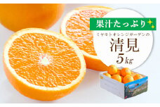＜2025年4月上旬出荷＞果汁たっぷり ジューシー清見5kg＜E25-126＞_ みかん ミカン 柑橘 フルーツ ふるーつ 果物 くだもの 青果 清見 きよみ 甘い ジューシー 愛媛 希少 産直 産地直送 【1268370】
