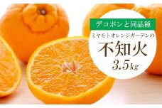 ＜2025年3月以降発送＞デコポンと同品種 濃厚柑橘 不知火(しらぬい)3.5kg＜D25-127＞【1044412】