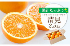 ＜2025年4月上旬以降発送＞果汁たっぷり ジューシー清見3.5kg＜D25-129＞_ みかん ミカン オレンジ 清見 きよみ 愛媛県 フルーツ 果物 くだもの 柑橘 かんきつ 人気 産地直送 産直 ジューシー 甘い 果汁 糖度 タンゴール 柑橘類 【1044409】