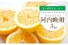 ＜2025年4月下旬頃出荷＞苦味の少ない和製グレープフルーツ 河内晩柑 5kg＜D25-130＞【1151744】
