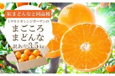 ＜2025年発送＞紅まどんなと同品種!愛媛果試28号 3.5kg＜訳あり＞＜D25-133＞【1166250】