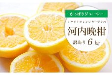 ＜2025年4月下旬＞苦味の少ない和製グレープフルーツ 河内晩柑6kg(訳あり)＜D25-136＞【1151745】