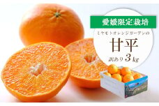 ＜2026年2月より順次発送＞愛媛限定栽培柑橘 甘平(かんぺい)3kg＜訳あり＞＜E25-137＞【1138005】