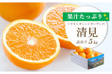＜2025年4月上旬出荷＞果汁たっぷり ジューシー清見5kg(訳あり)＜D25-138＞_ 清見 きよみ 柑橘 かんきつ オレンジ みかん フルーツ 果物 くだもの ふるーつ 産地直送 国産 送料無料 限定 甘い ジューシー 果汁 【1138006】