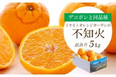 ＜2026年2月以降発送＞デコポンと同品種 濃厚柑橘 不知火5kg＜訳あり＞＜D25-139＞【1138007】