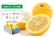 ＜2026年4月下旬頃出荷＞ワタまでおいしい ニューサマーオレンジ5kg(訳あり)＜E25-140＞【1268369】