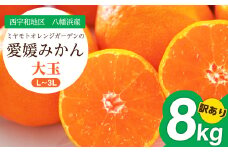 ＜2025年11月より順次発送＞大玉サイズのみ厳選!愛媛みかん8kg＜訳あり＞＜C25-142＞【1166254】